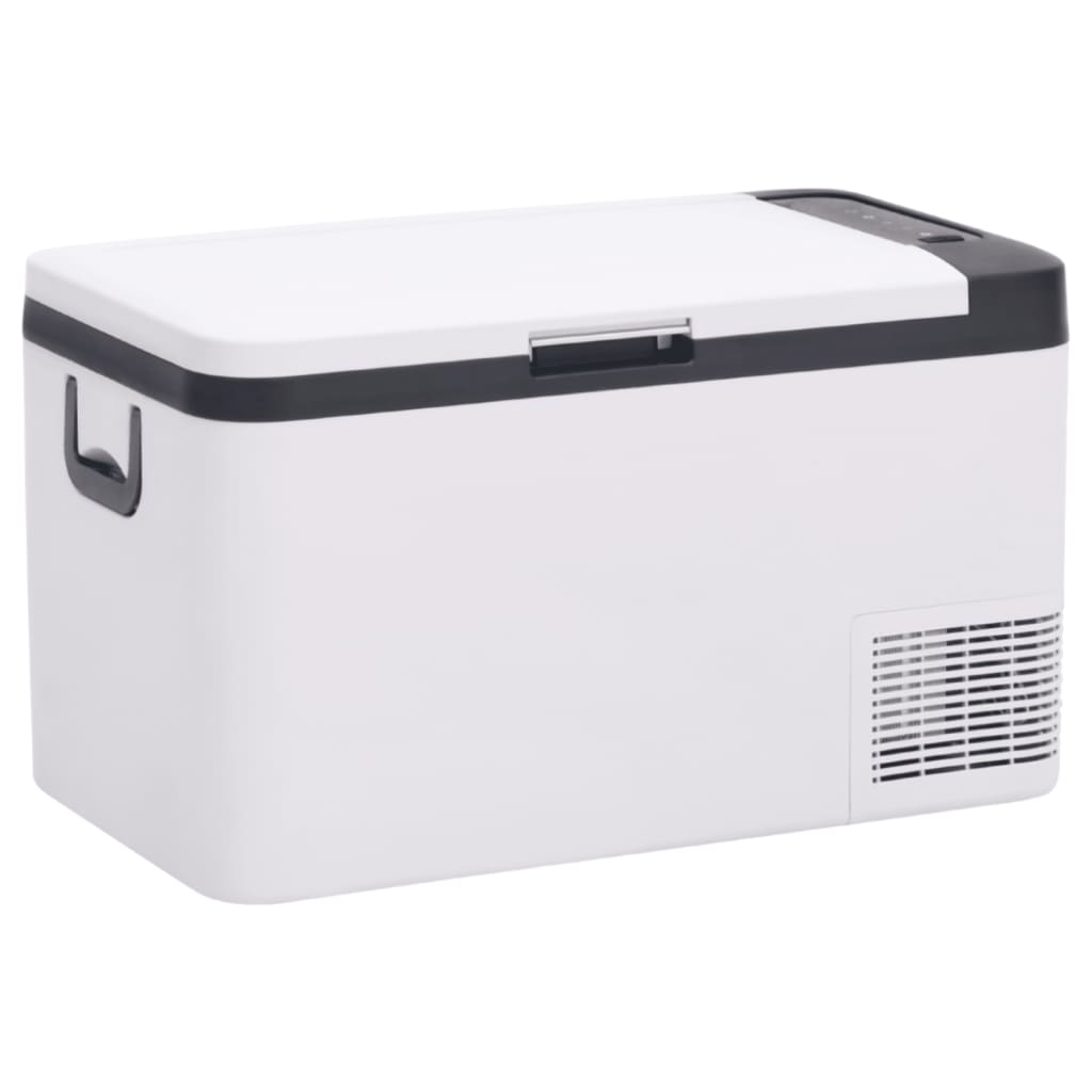 vidaXL Cool Box with Handle Black and White 18 L PP & PE
