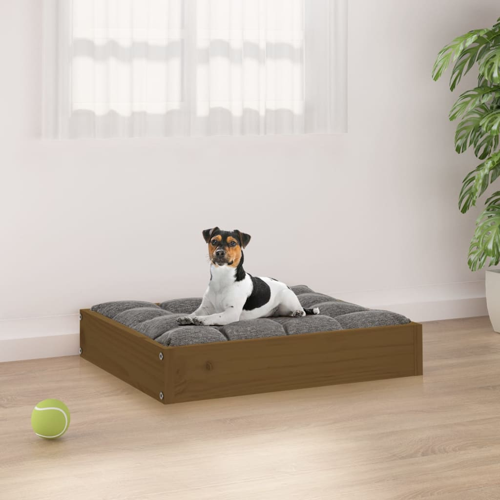 Hundebett Honigbraun 20,3"x17,3"x3,5" Massivholz Kiefer - Bild 1 von 8