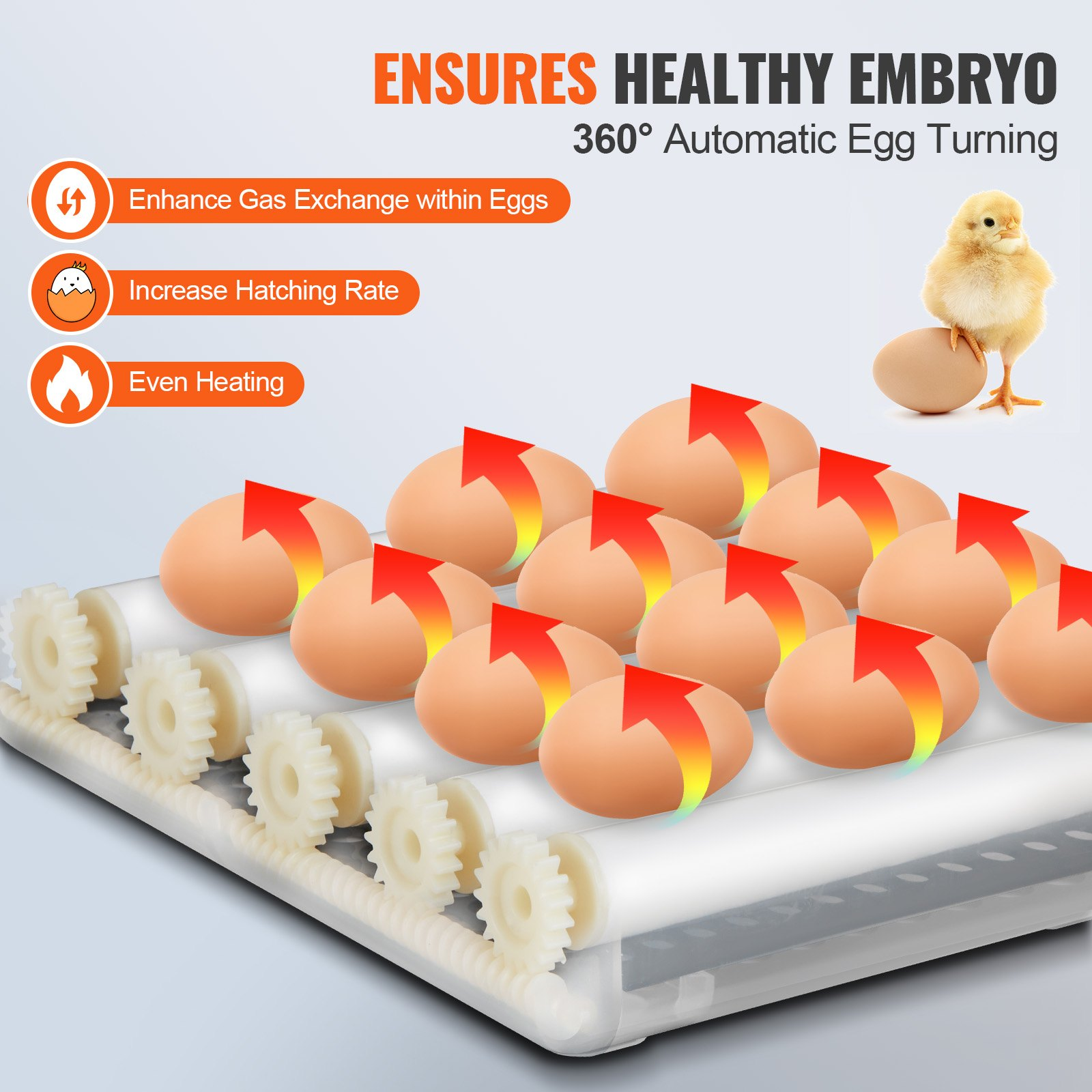 Egg Incubator, Automatic Turner Temp/Humidity Control 12 Eggs Hatcher, ABS Shell