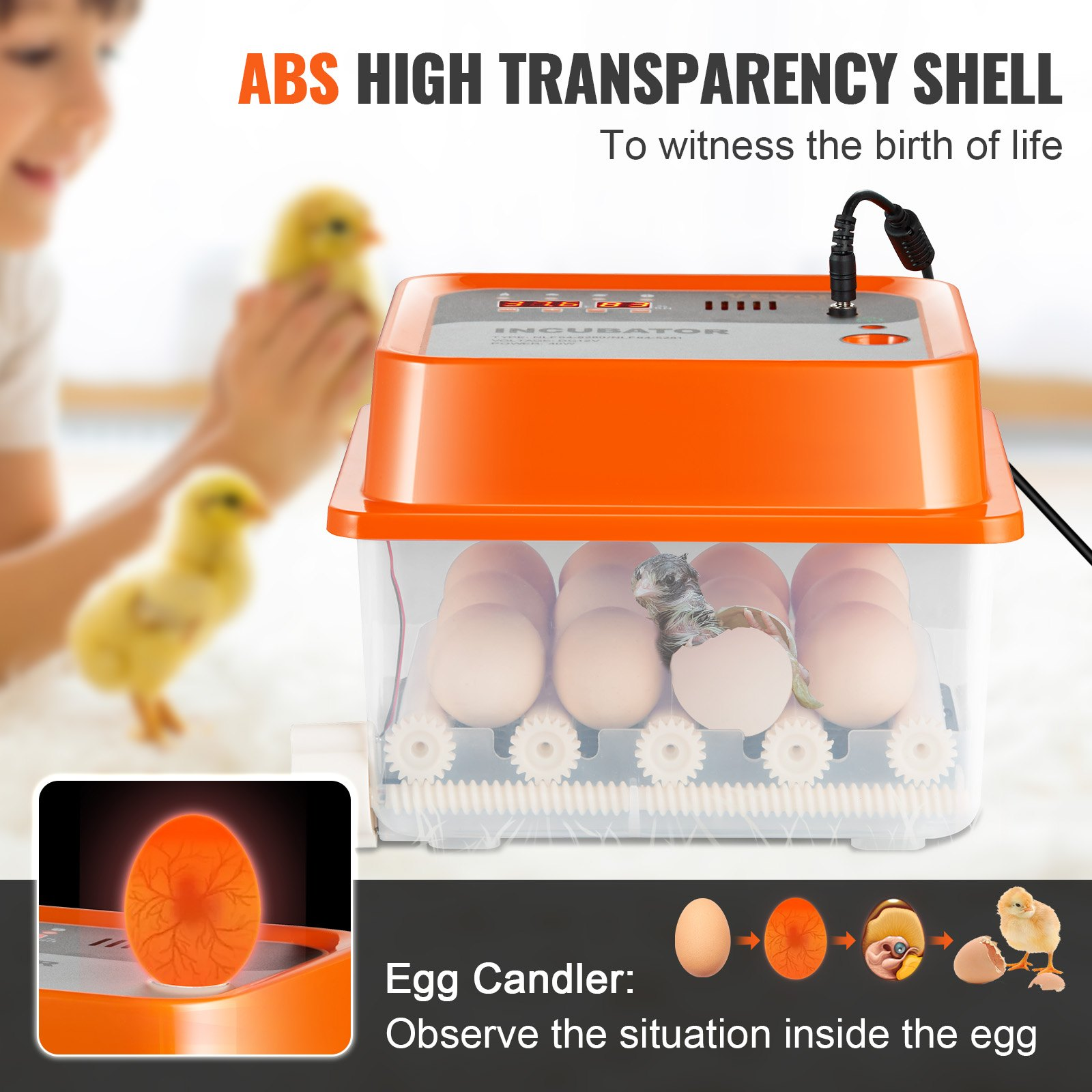 Egg Incubator, Automatic Turner Temp/Humidity Control 12 Eggs Hatcher, ABS Shell