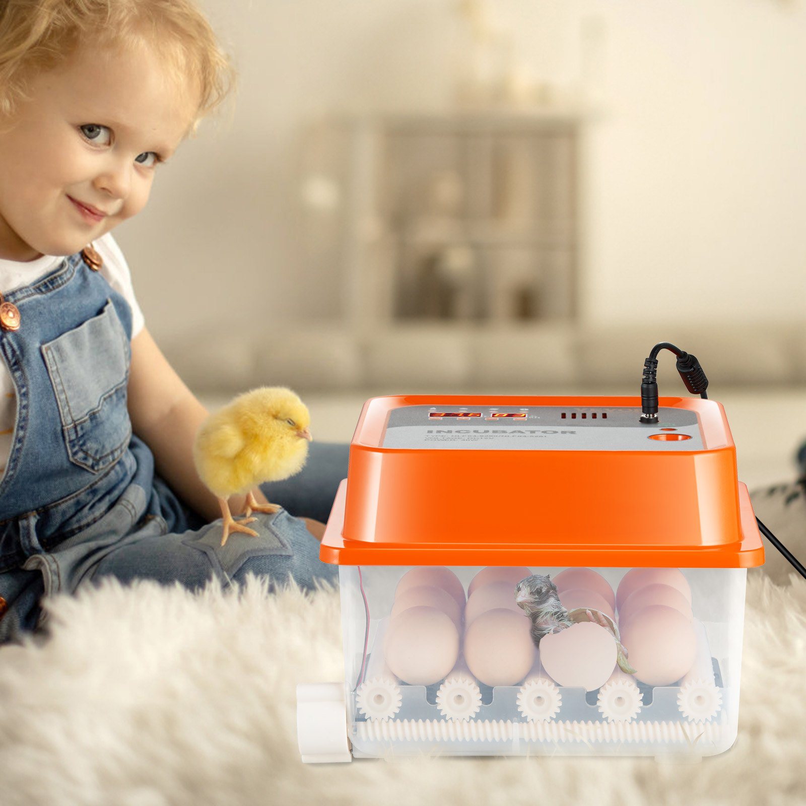 Egg Incubator, Automatic Turner Temp/Humidity Control 12 Eggs Hatcher, ABS Shell