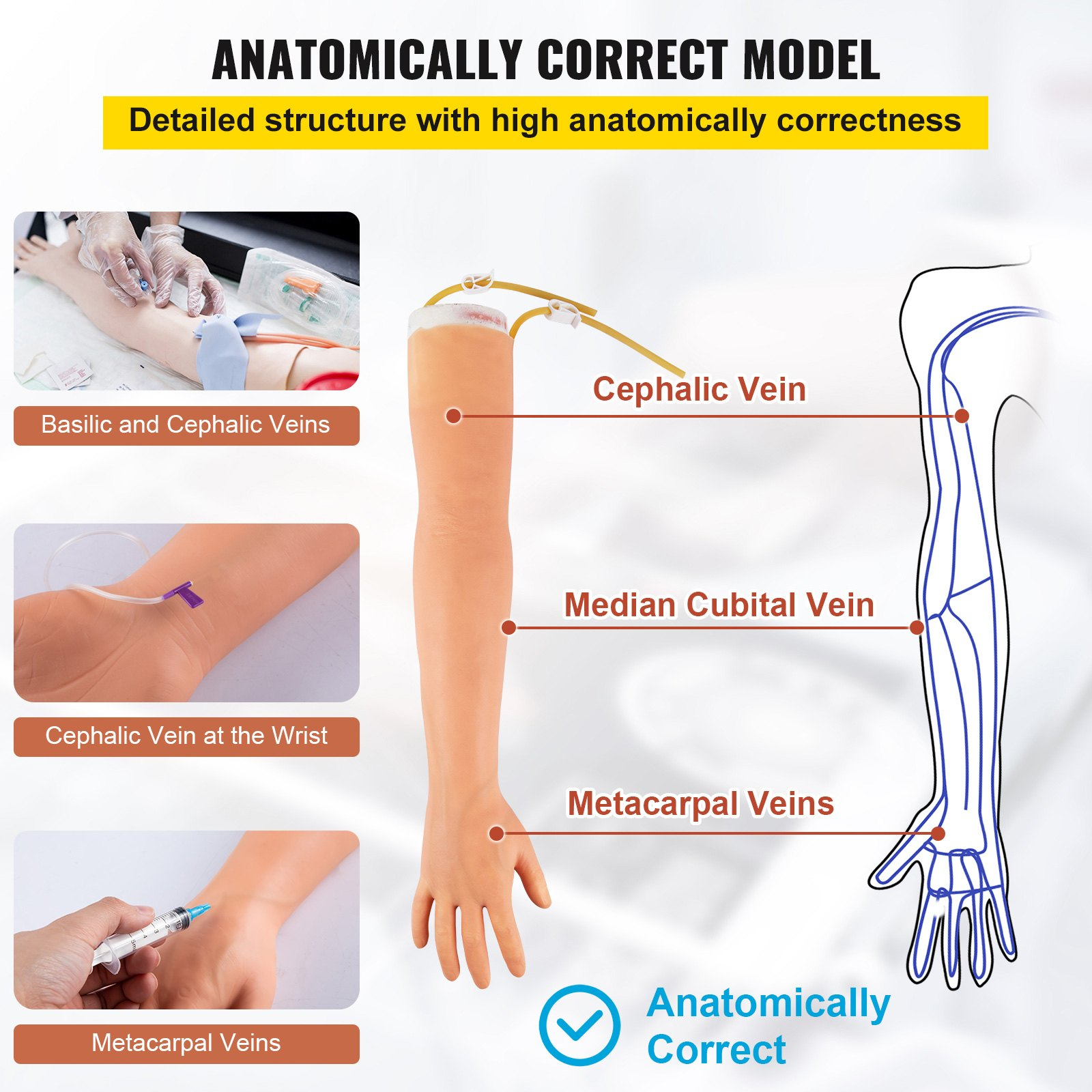 12 PCS Phlebotomy Practice Kit, for Students Nurses and Professionals