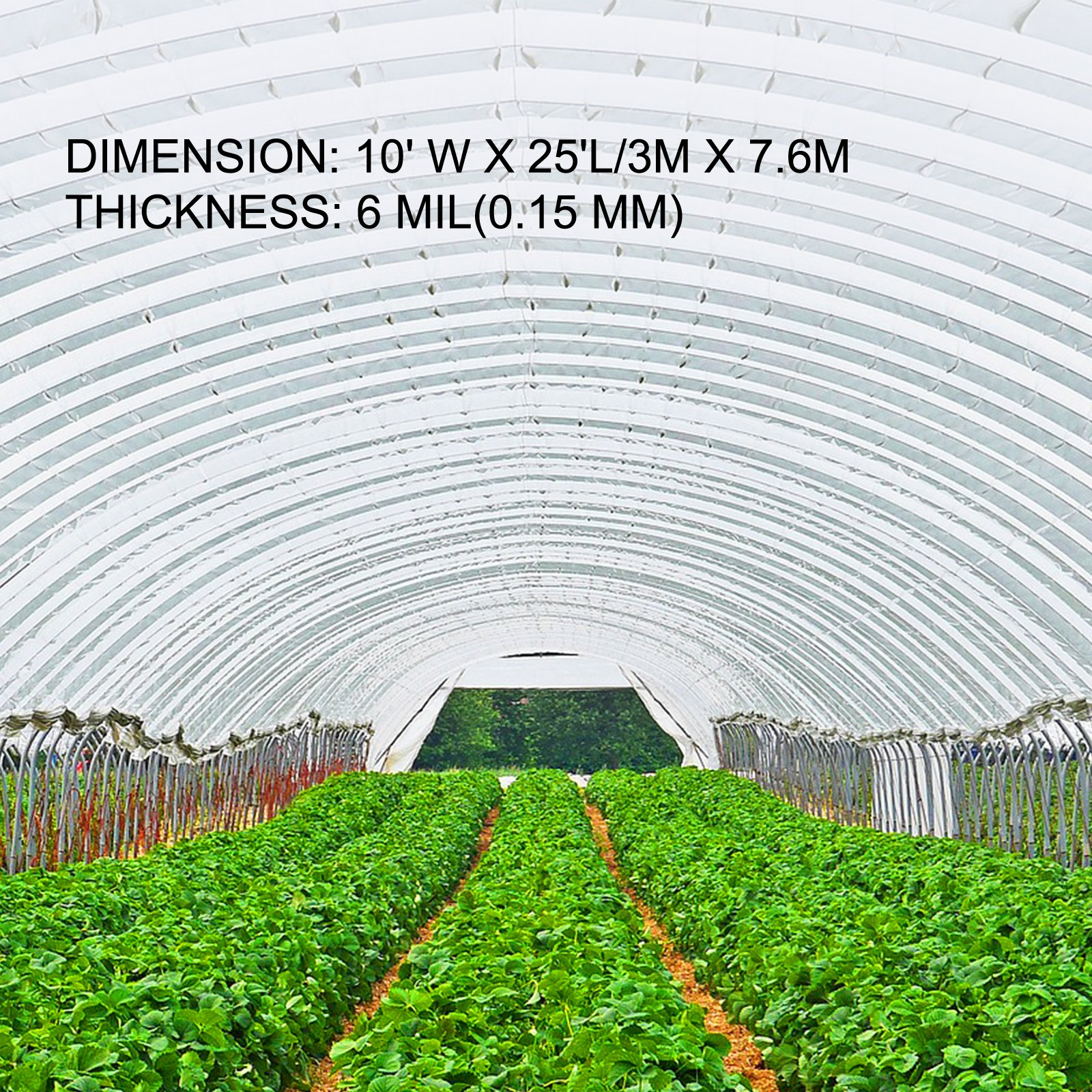 VEVOR Greenhouse Film 10 x 25 ft, Superior Toughness