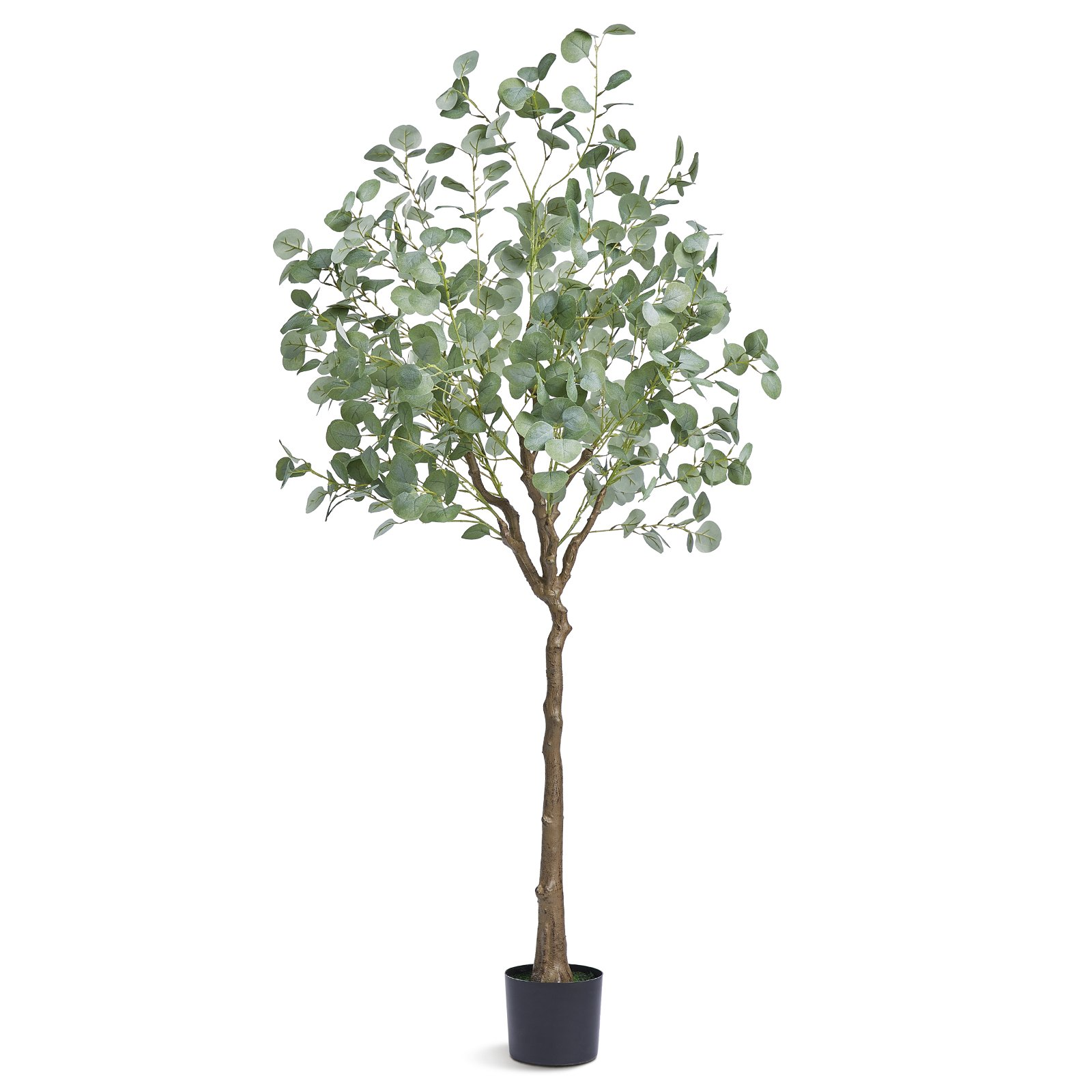 6 FT Artificial Eucalyptus Tree, Lifelike Faux Plant for Indoor/Outdoor Décor - Picture 9 of 10