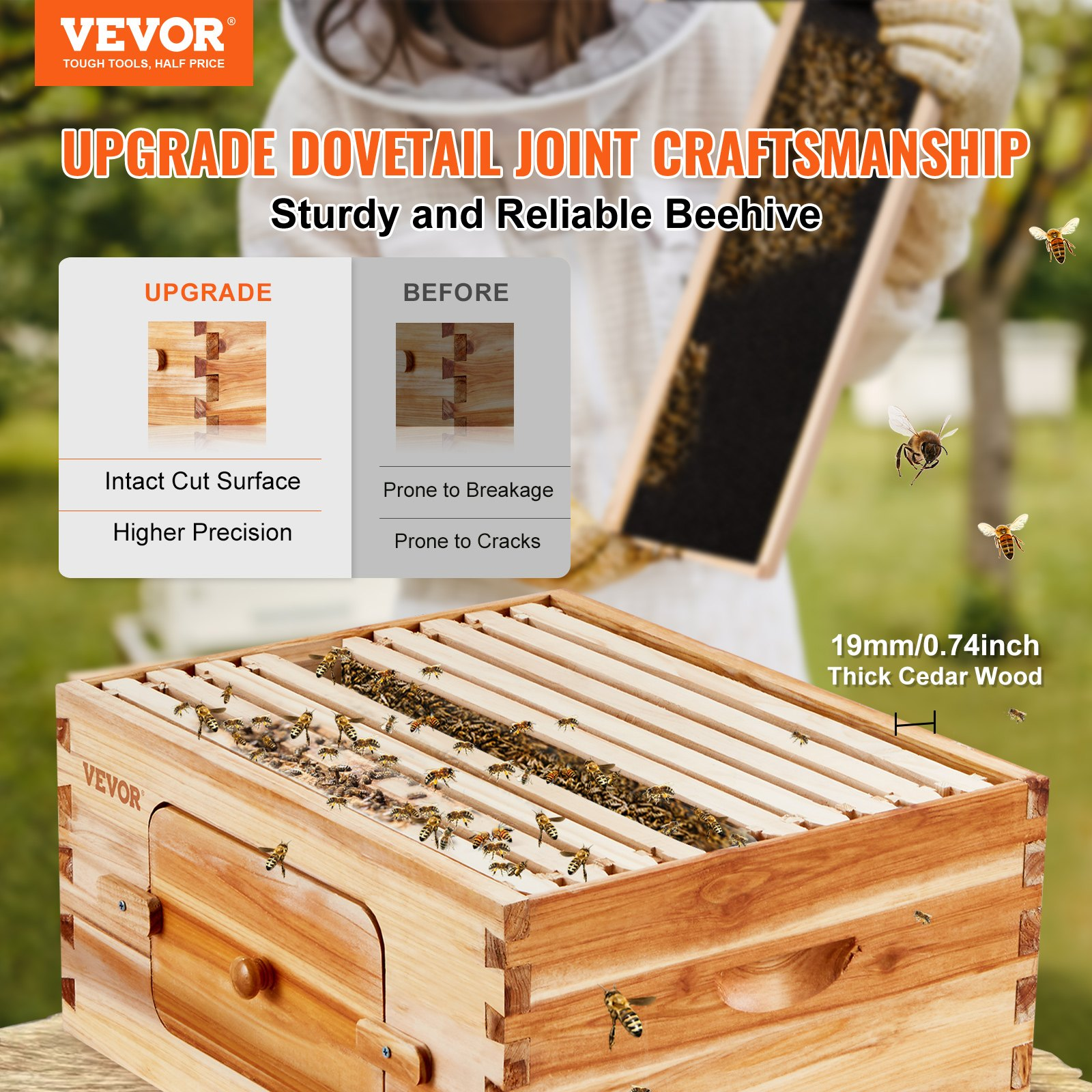 Single Deep Bee Box Bee Hive Deep Box Starter Kit, 100% Beeswax Coated Natural Cedar Wood ...