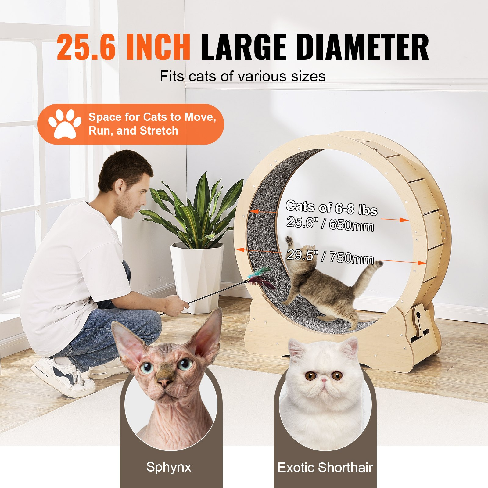 Cat Exercise Wheel, Suitable for Most Cats