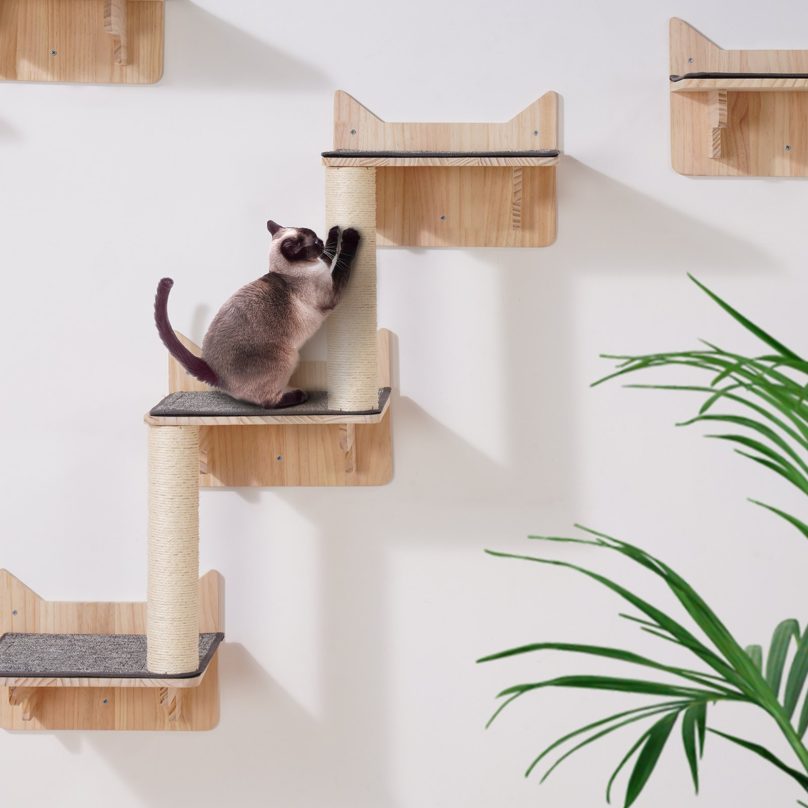 Wall Mounted Cat Shelves, Set of 5