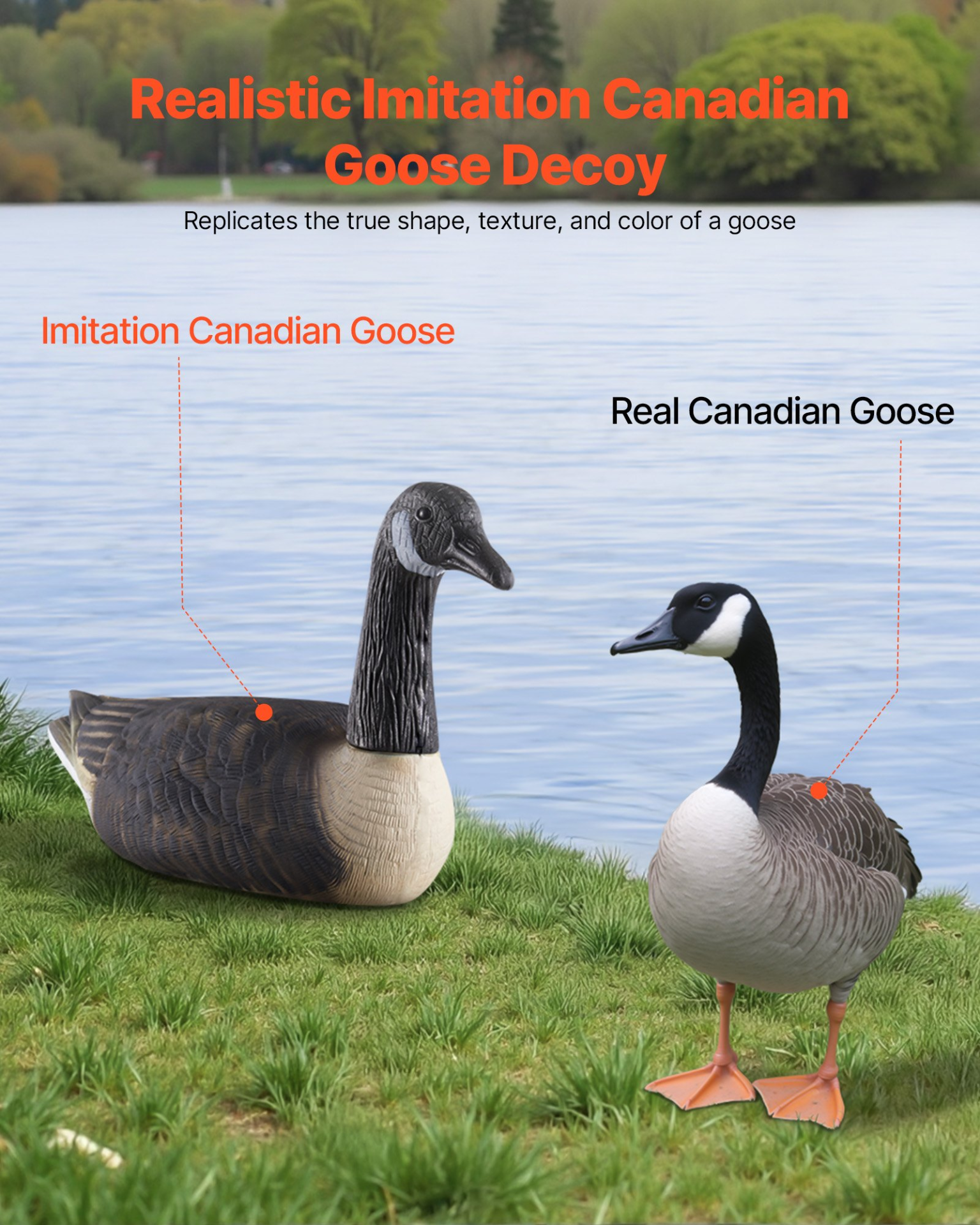 Canada Goose Decoys, Outdoors Goose Decoy for Waterfowl Hunting, 6-Pack ...