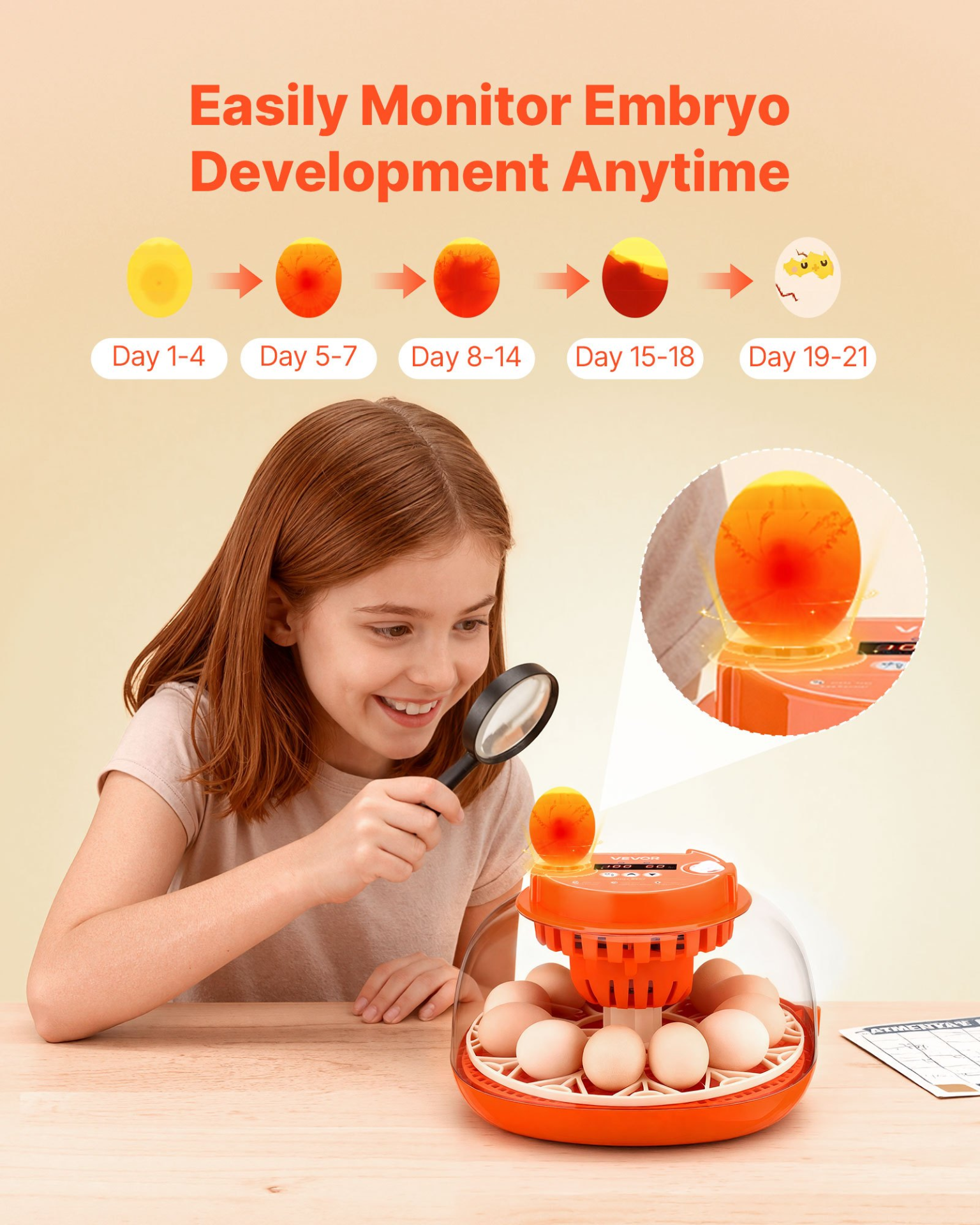 12 Egg Incubator, Hatching Chicks Ducks Goose Quail
