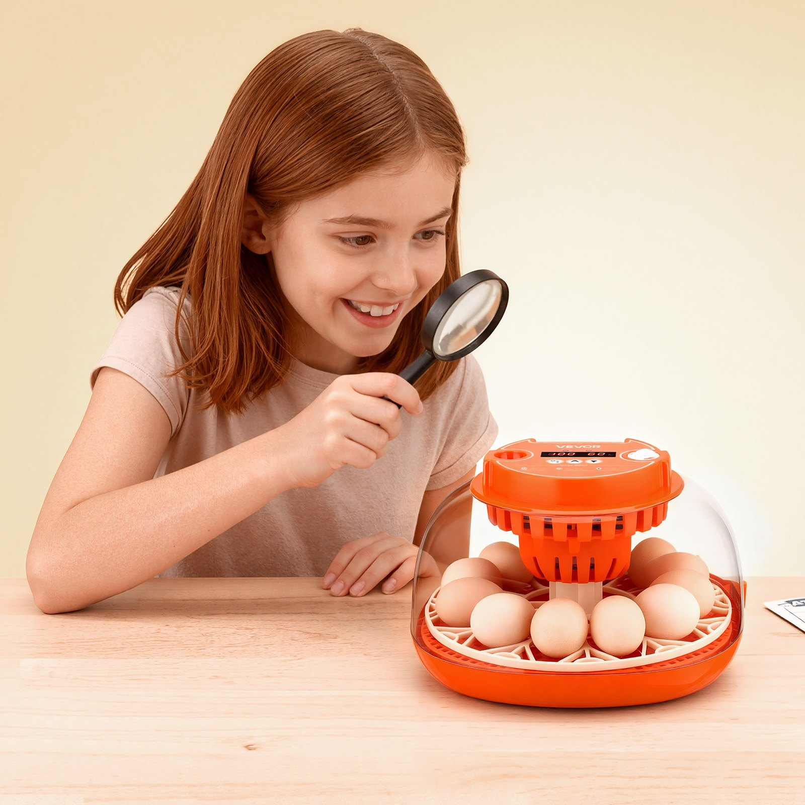 12 Egg Incubator, Hatching Chicks Ducks Goose Quail