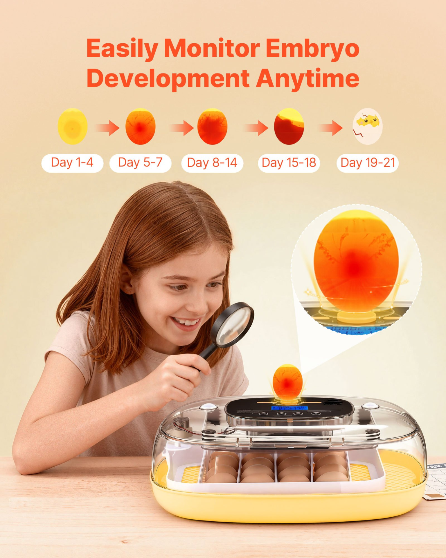 VEVOR 24-Egg Fully Automatic Incubator: Set & Forget Hatching
