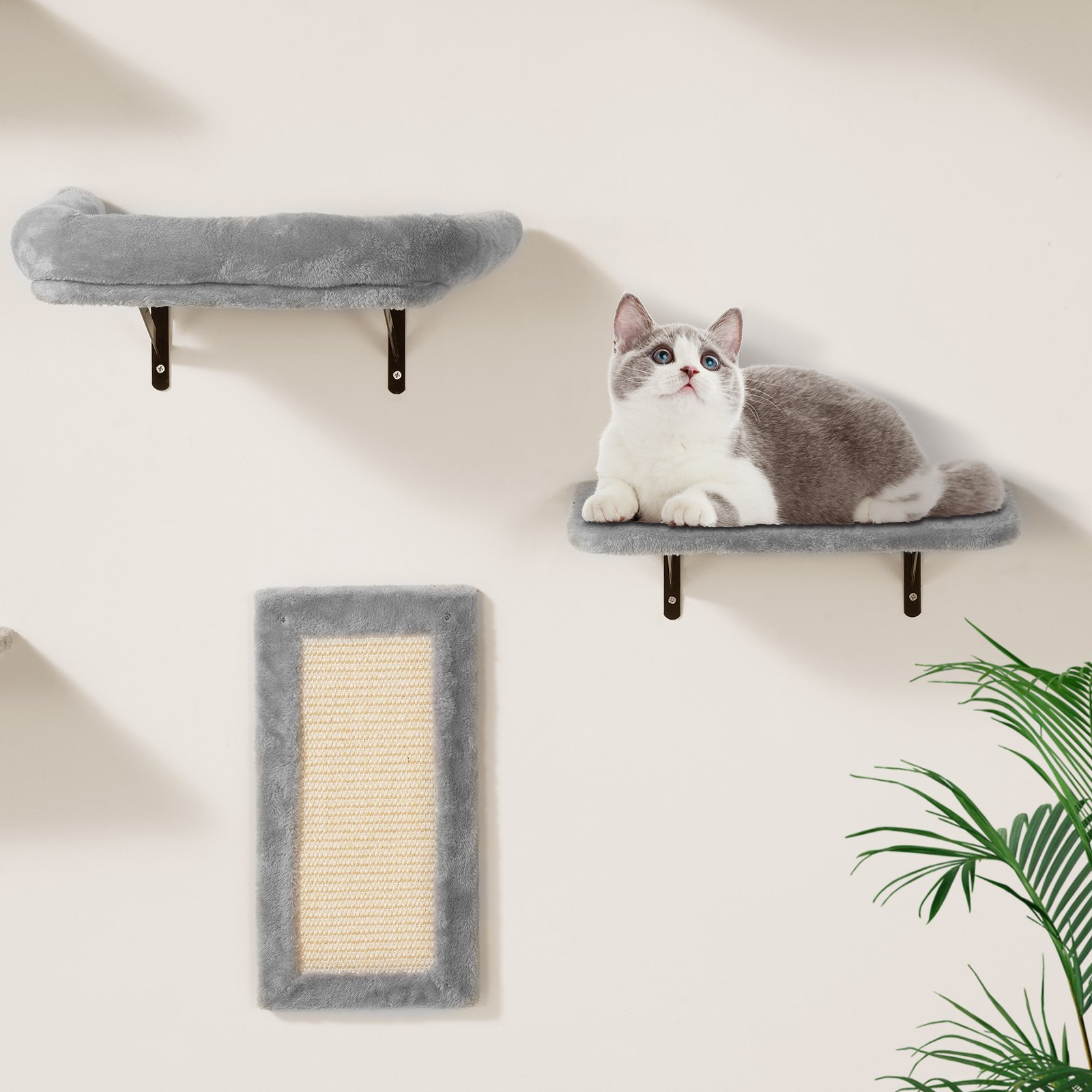 Wall Mounted Cat Shelves, Set of 6